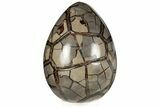 8.5" Septarian "Dragon Egg" Geode - Removable Section - #199999-1